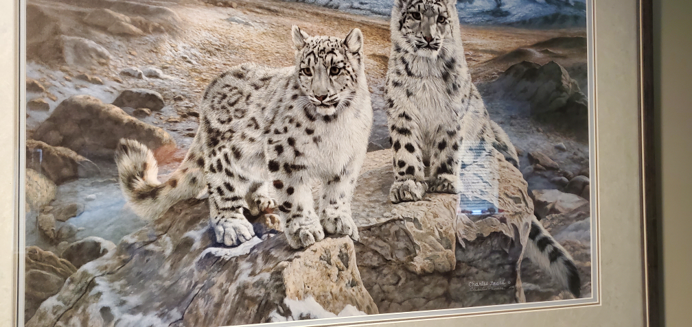 Framed Charles Fracé Snow Leopard Print - photo 2