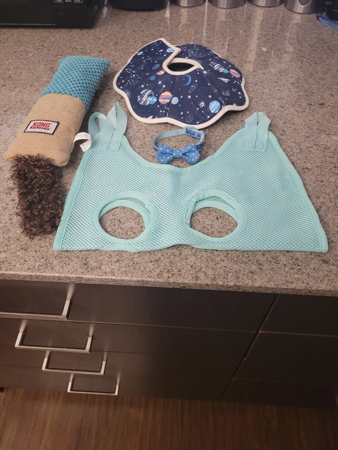 Pet Toy Bundle - Parrot, Kong Toy, Cat Harness, and More! image indicator(2)