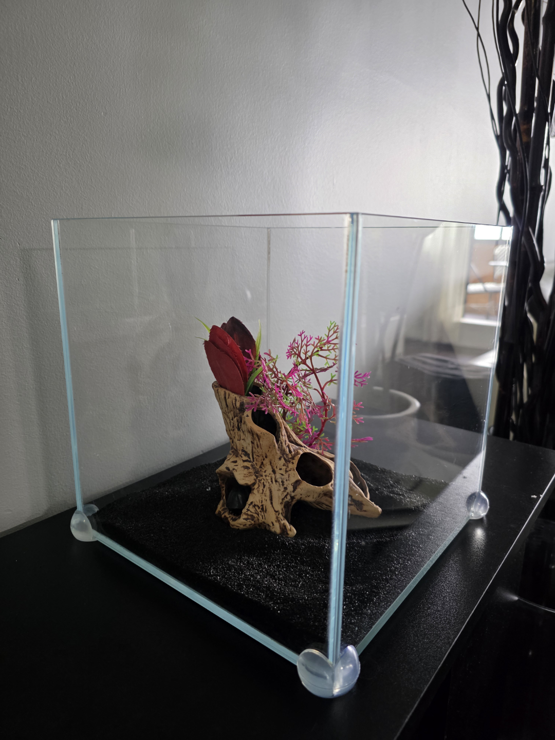 3 gallon rimless