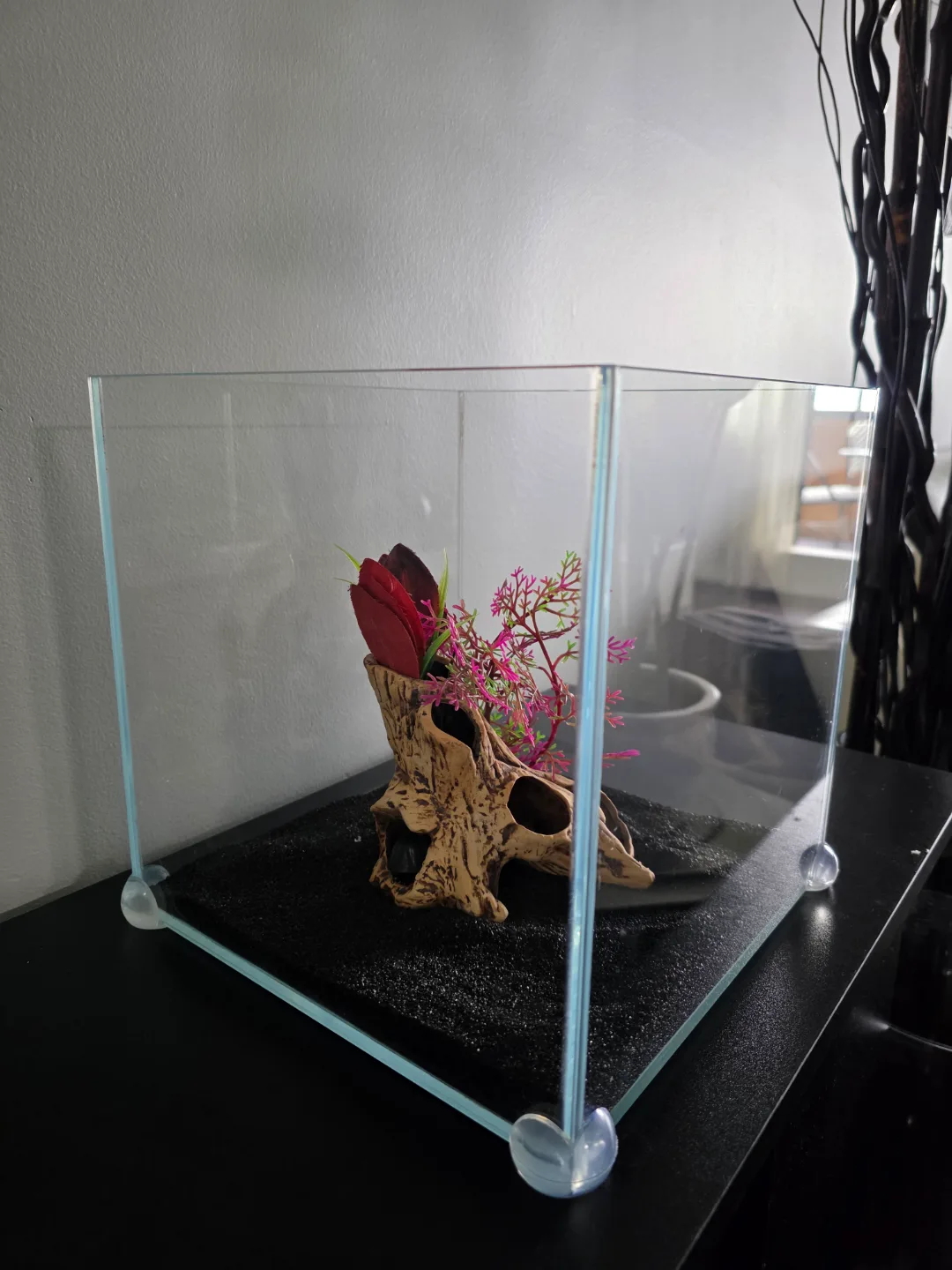 3 gallon rimless thumbnail