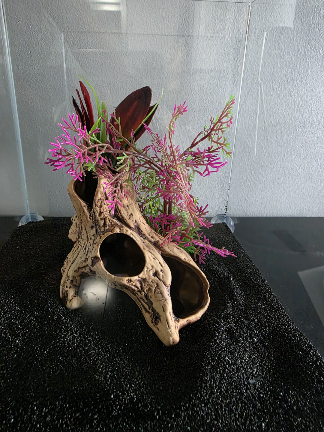 3 gallon rimless - photo 2