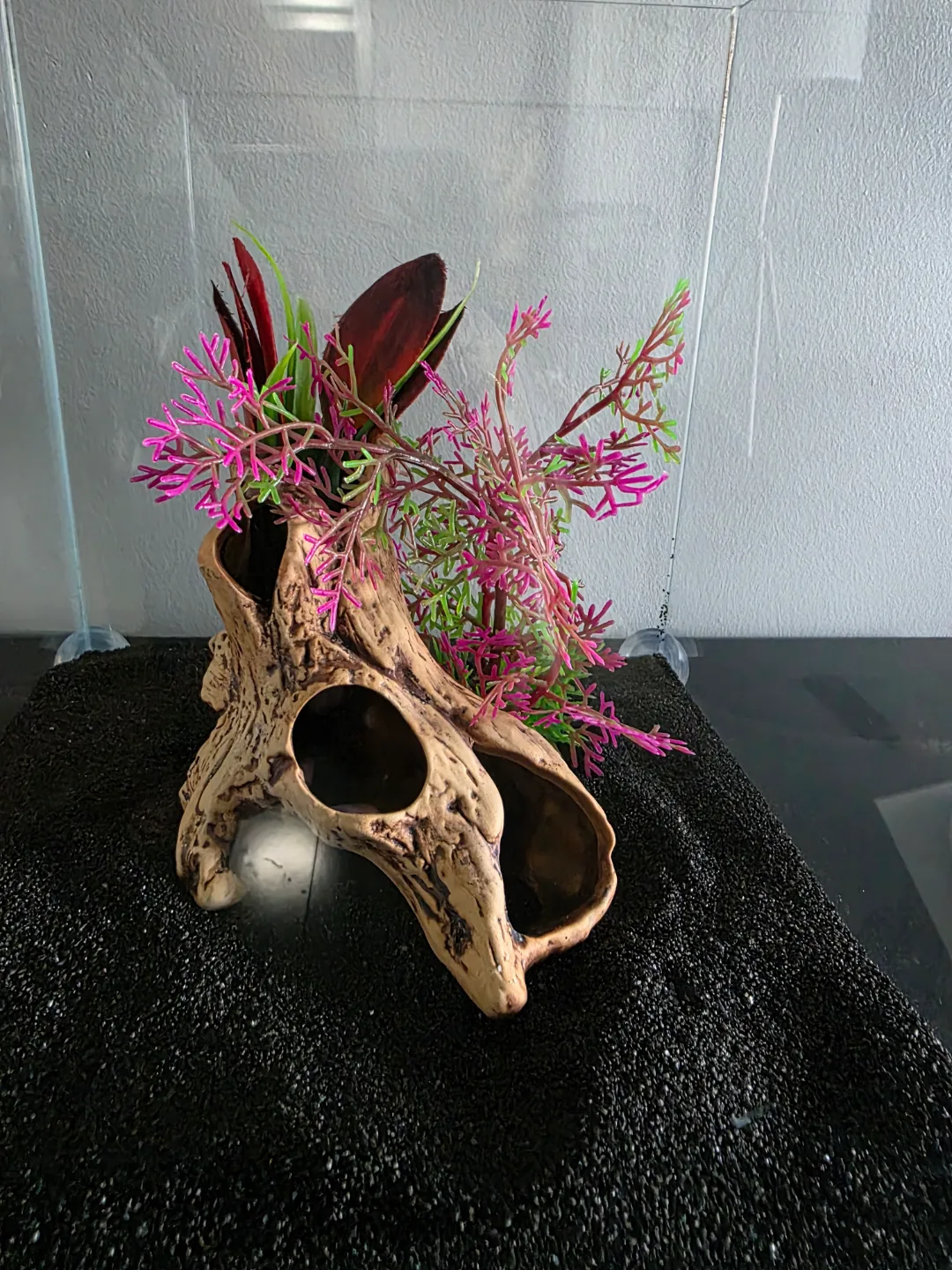 3 gallon rimless image indicator(2)