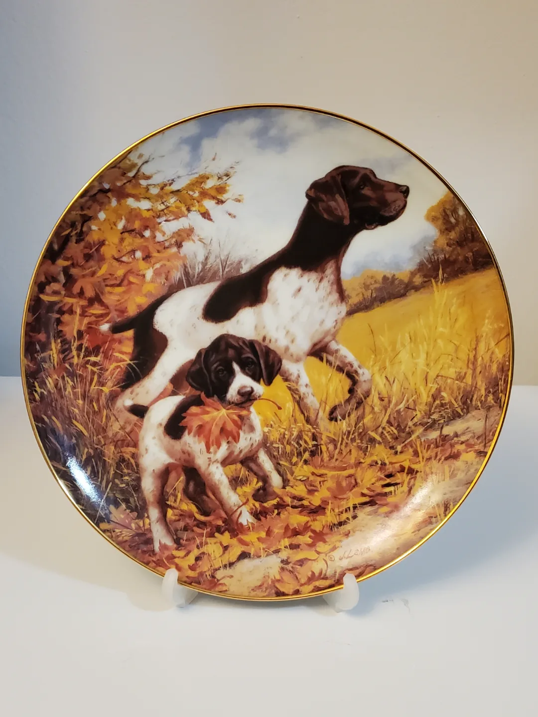 Jim Lamb's A Sporting Generation Collector Plates (Set of 5) image indicator(2)