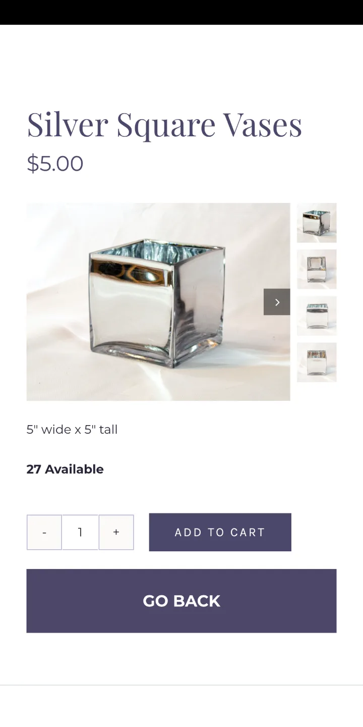 Glass Silver Mirror Vase / Jars + Candles image indicator(3)