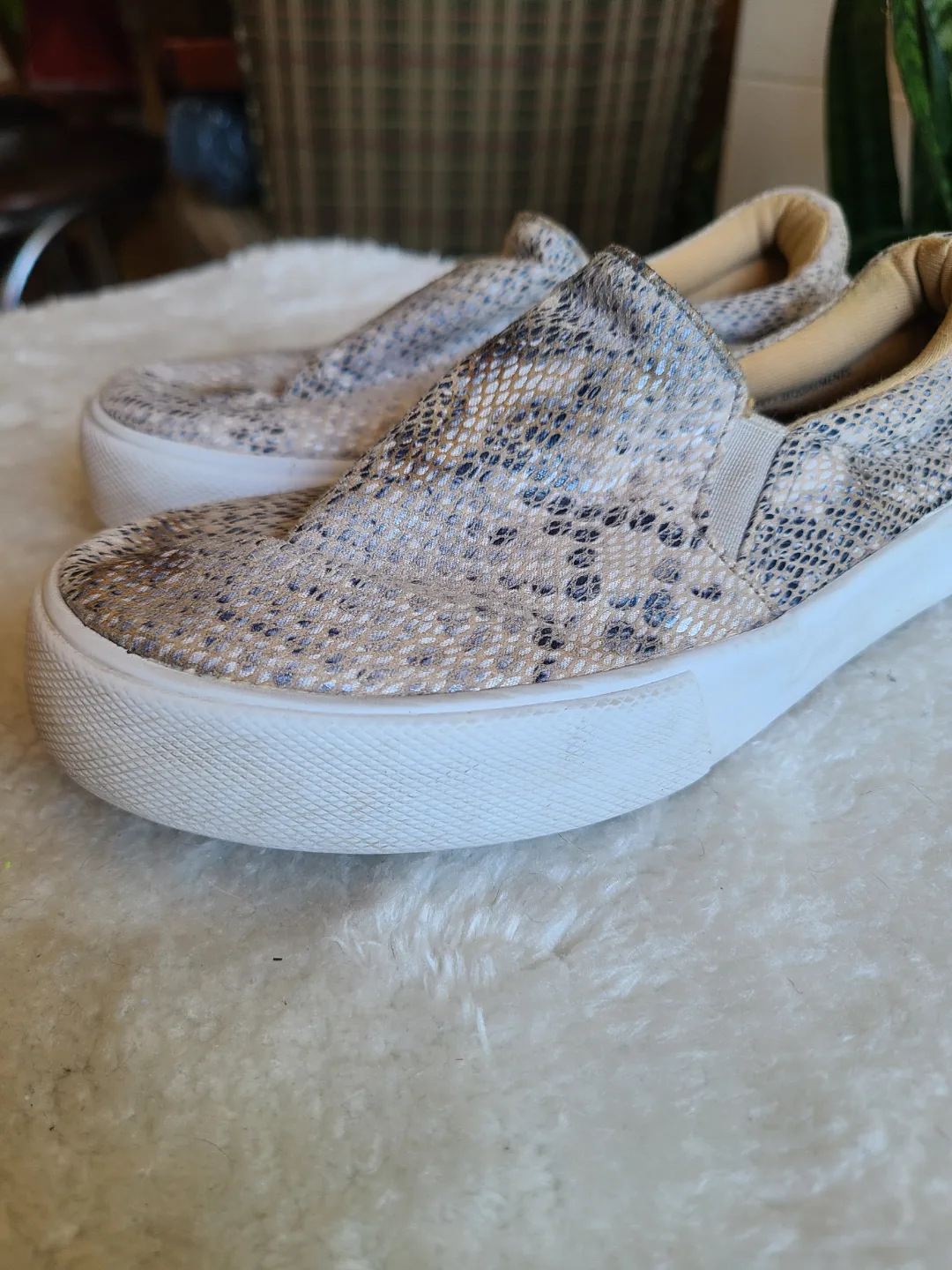 Soda Slip-On Sneakers – Youth Size 13 / Women’s 7.5 – Snakeskin image indicator(3)