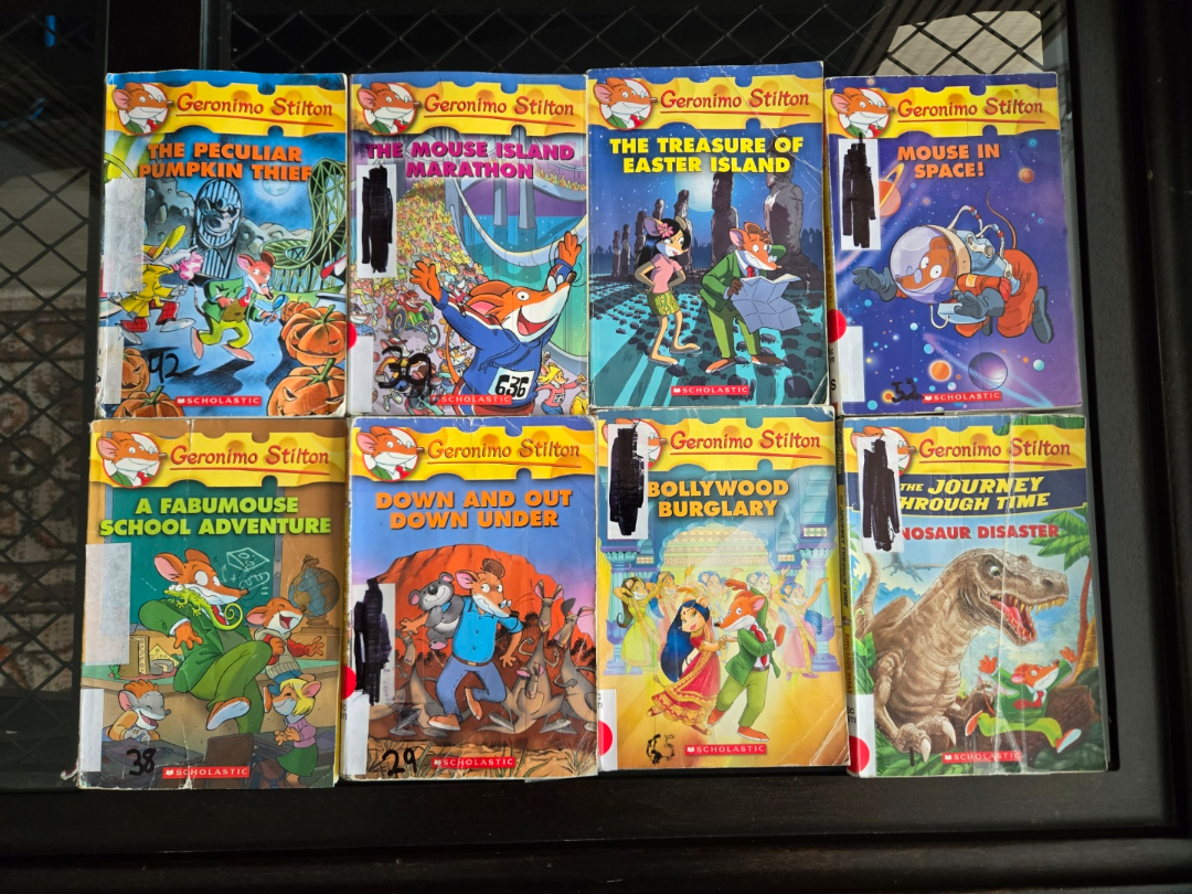 Lot of 12 Geronimo Stilton Chapter Books