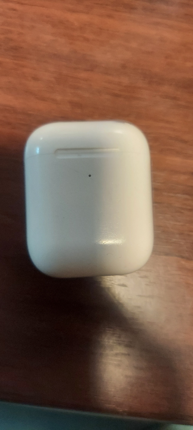 Apple AirPods with Charging Case - photo 5