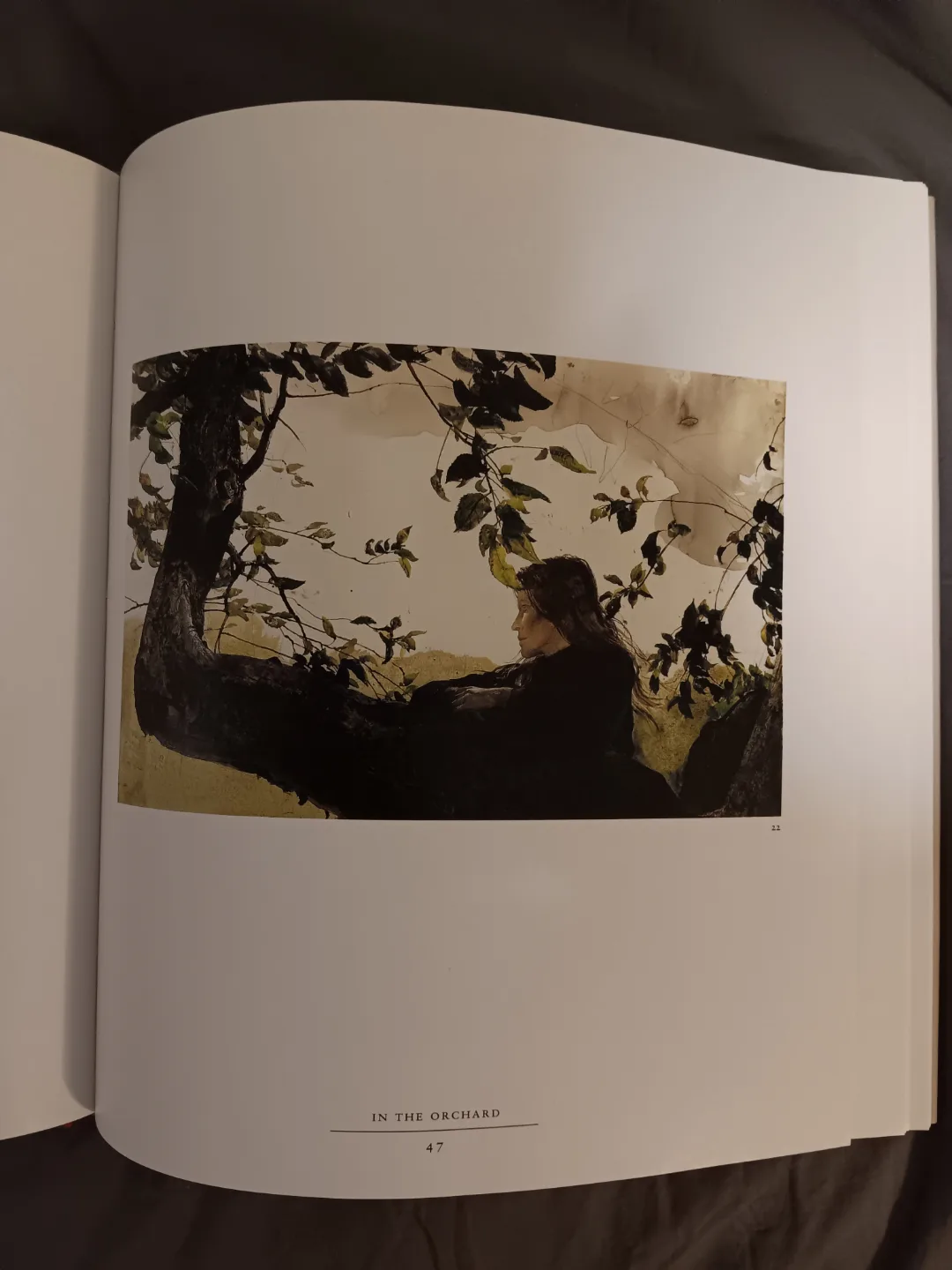 Andrew Wyeth: The Helga Pictures - Hardcover Book image indicator(4)