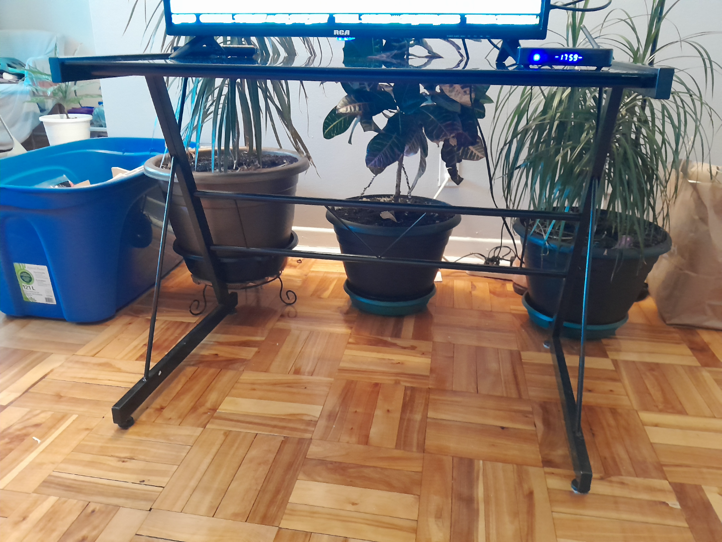 Glass Computer Desk with Black Metal Frame