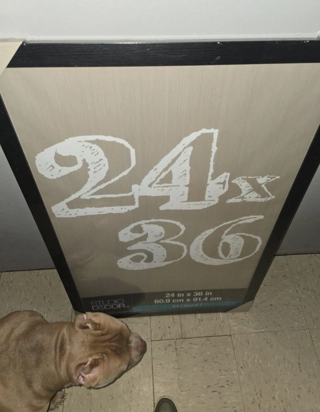 Studio Decor 24x36 Wall Art image indicator(2)