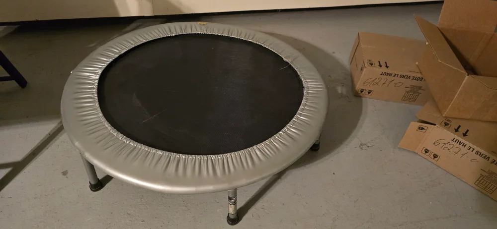 Mini Exercise Trampoline thumbnail