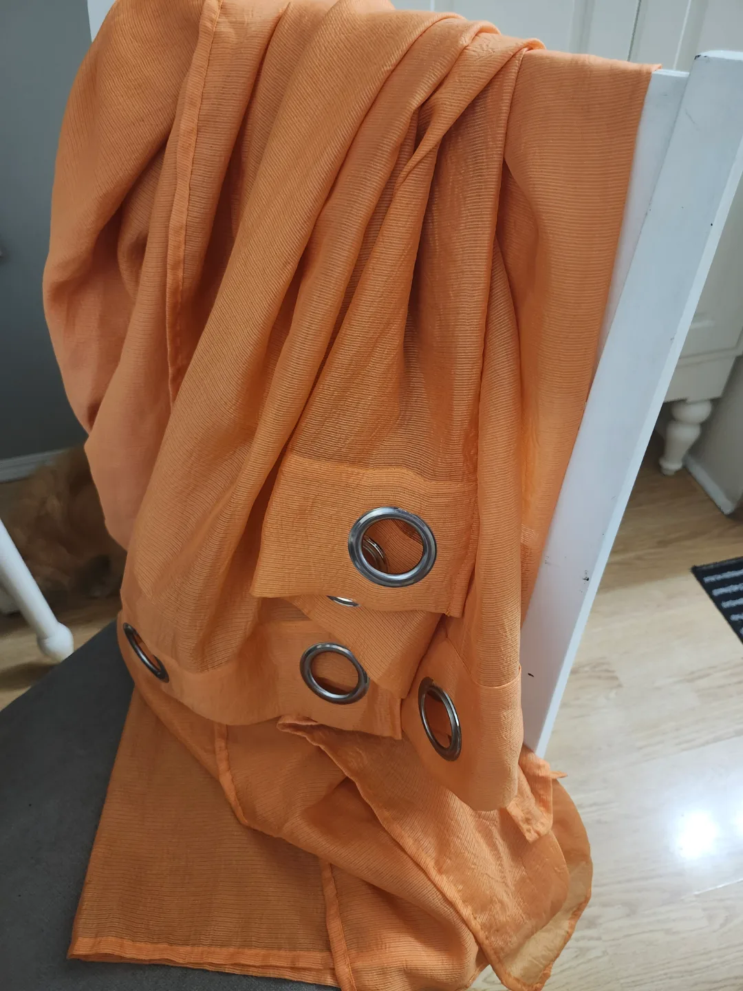 Orange Sheer Grommet Curtains thumbnail
