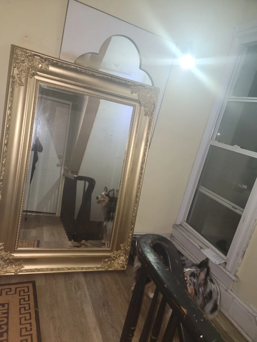 Large Gold Ornate Mirror image indicator(3)