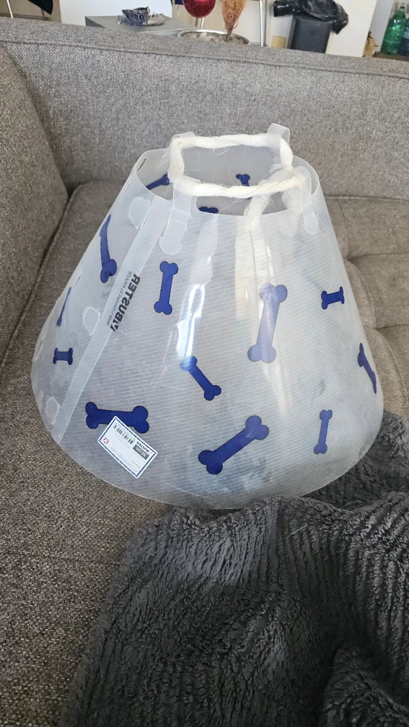 Buster Design Pet Collar & Cone thumbnail