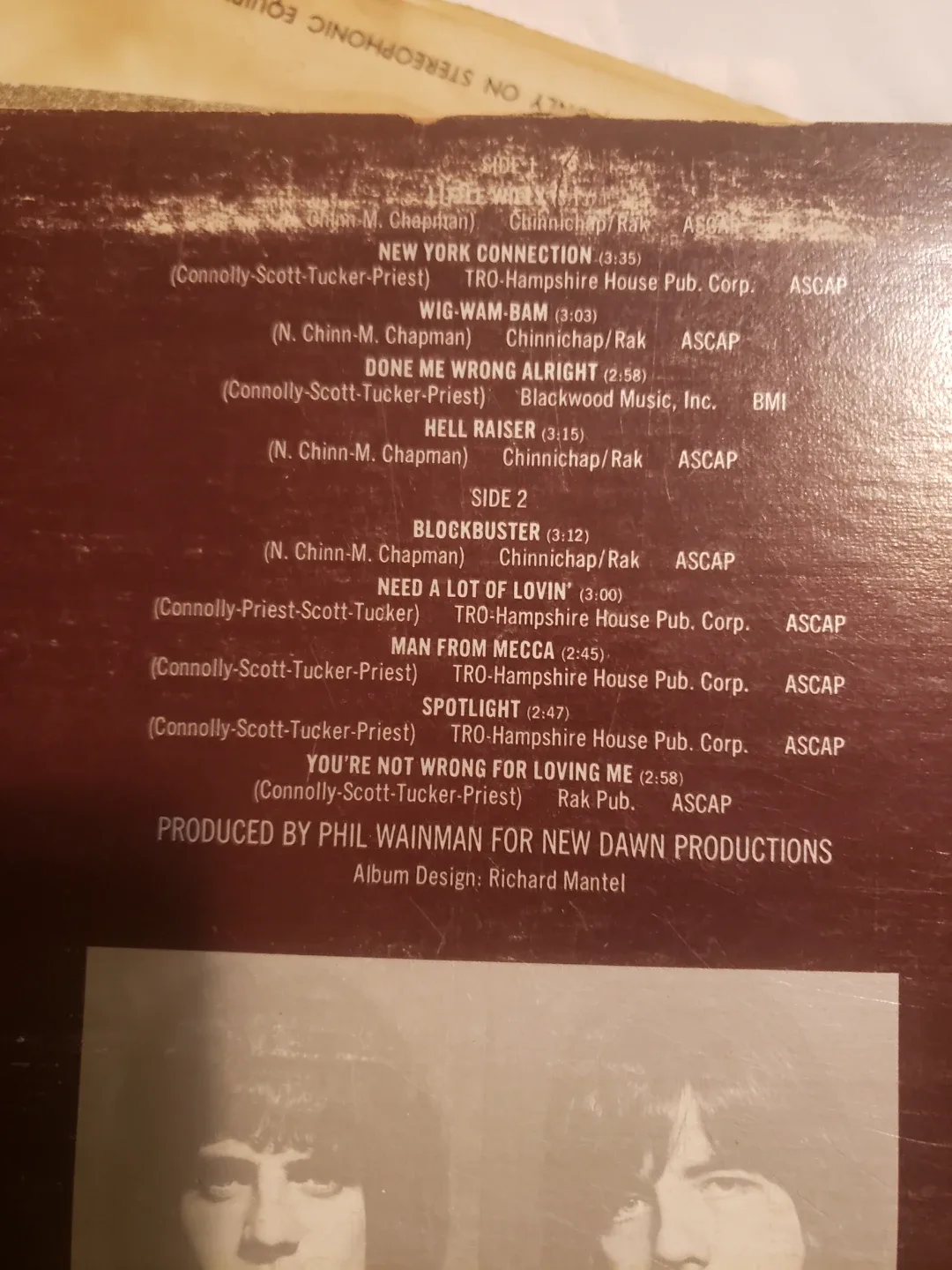 The Sweet Vinyl Record Album image indicator(2)