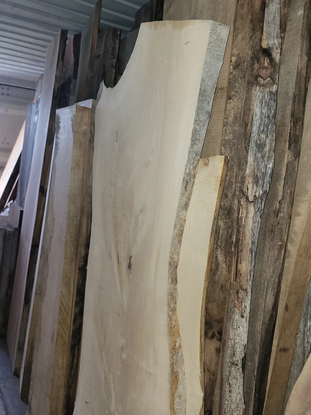 Live Edge Wood Slabs - Variety of Sizes and Species image indicator(3)