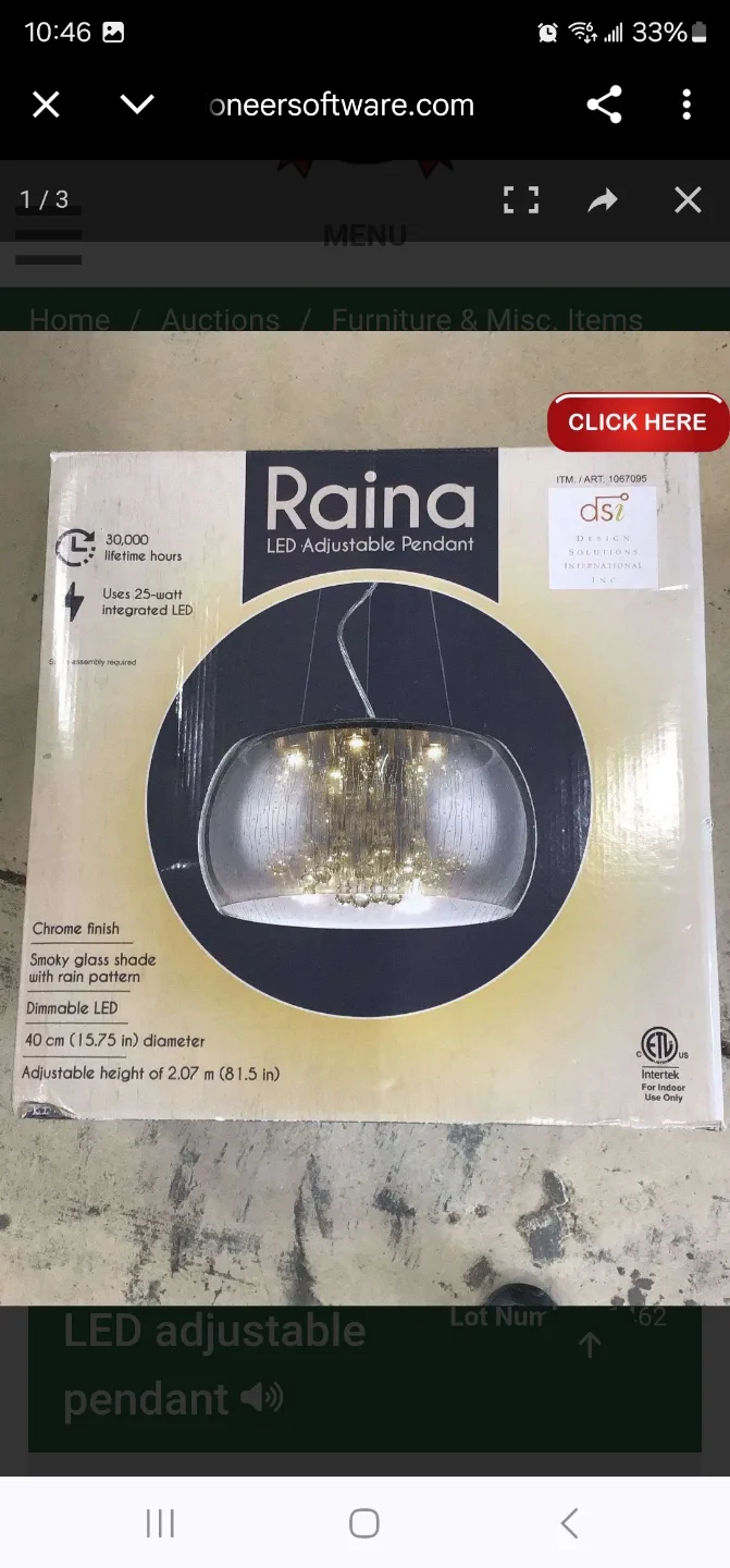 Raina LED Adjustable Pendant Light thumbnail