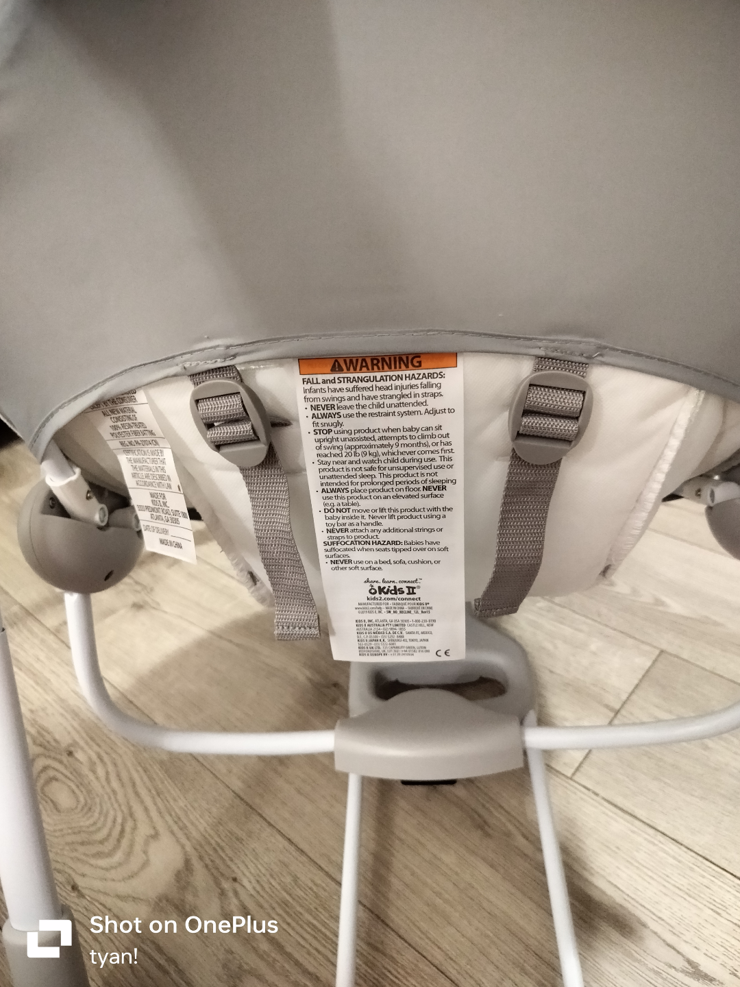 Ingenuity Baby Swing - photo 4