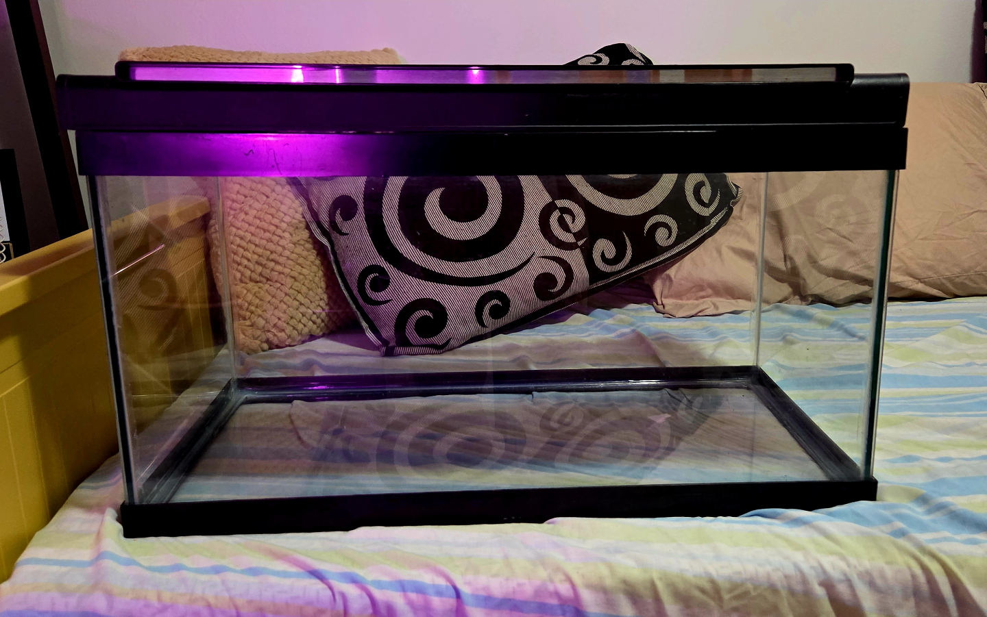 Aquarium with Lid for Sale