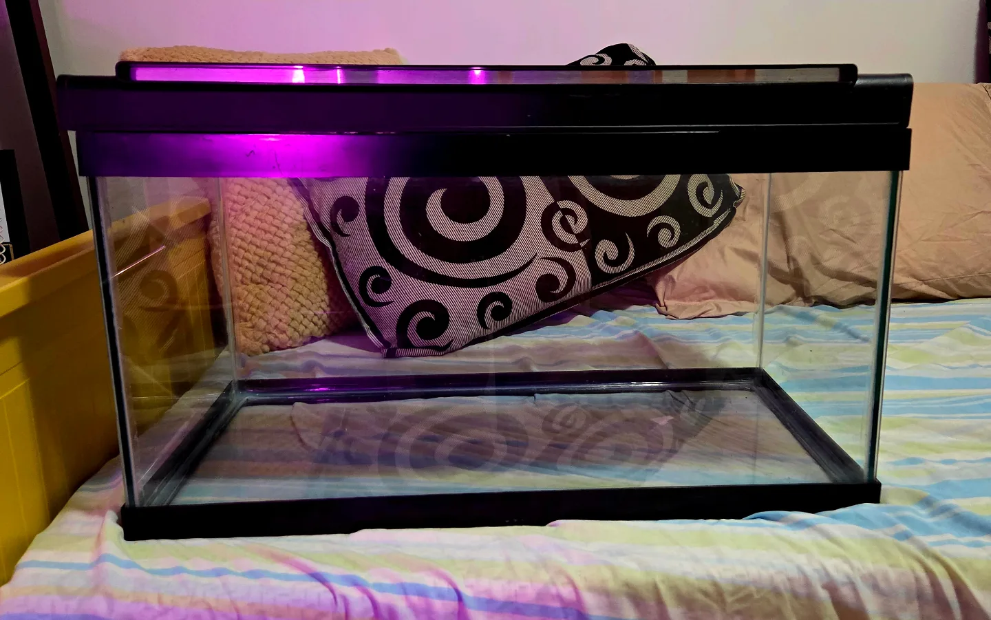 Aquarium with Lid for Sale thumbnail