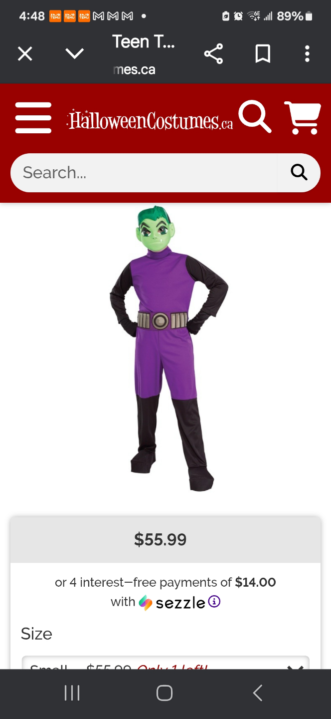 Teen Titans Beast Boy Costume - Size Large