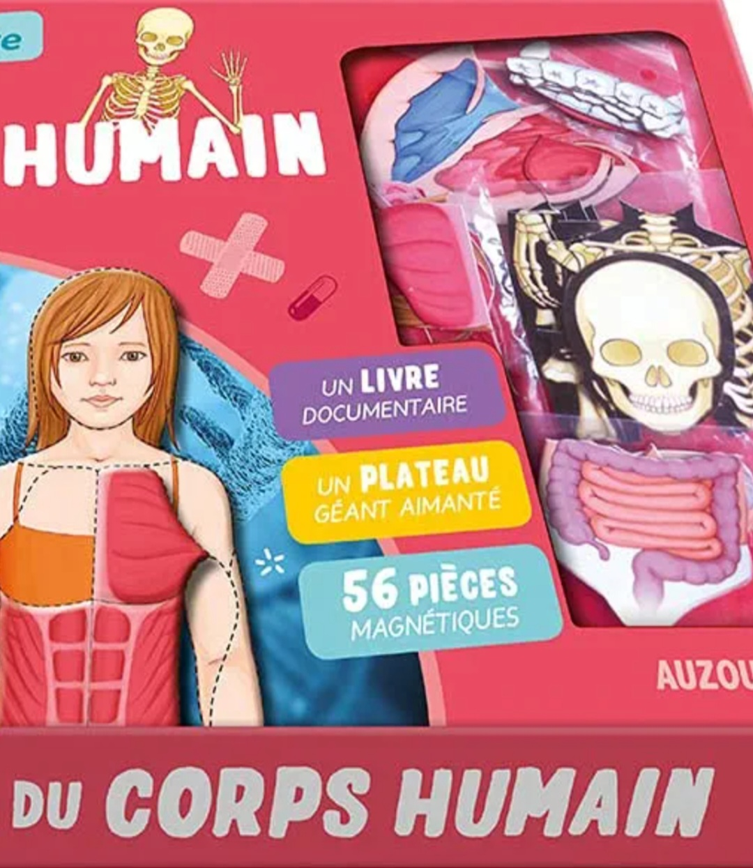 Educational Human Body Anatomy Kit - 56 Magnetic Pieces - photo 2