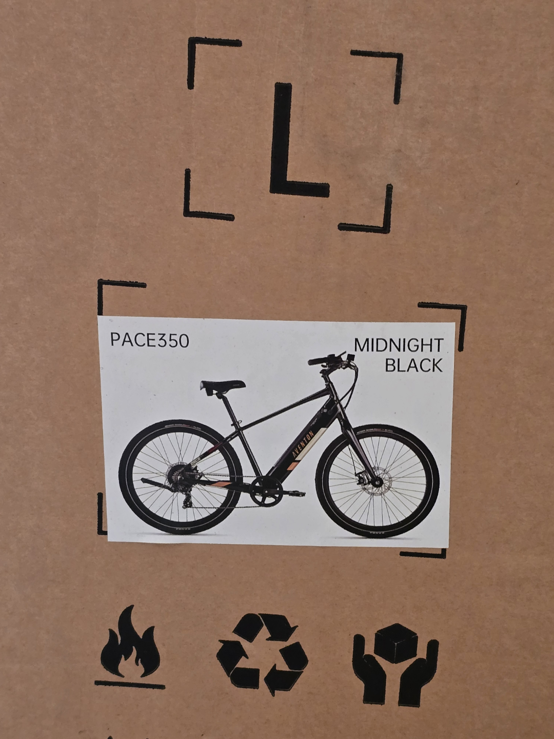 PACE 350 V2  Electric Bike