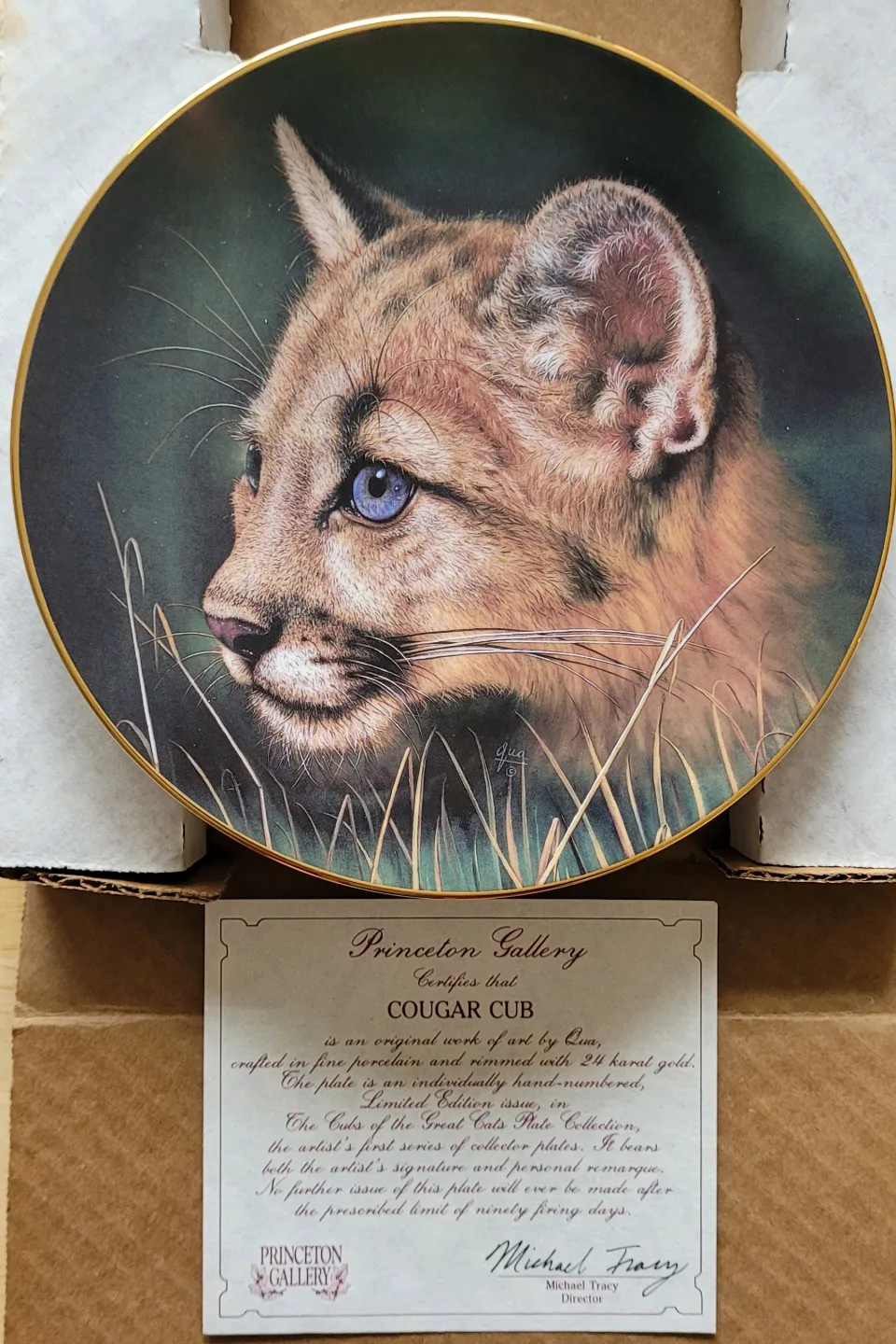 Cat and Racoon Collector Plates image indicator(8)