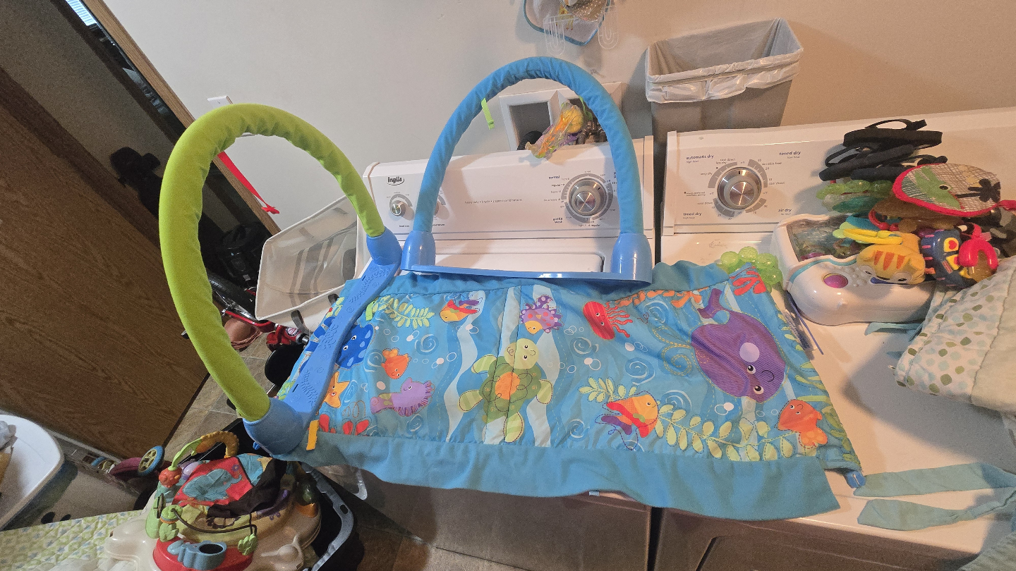 Baby Bundle: Toys, Activity Gym, Safety Kit & More! - photo 2