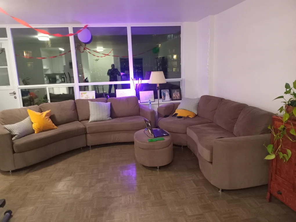 Curved Sectional Sofa image indicator(2)