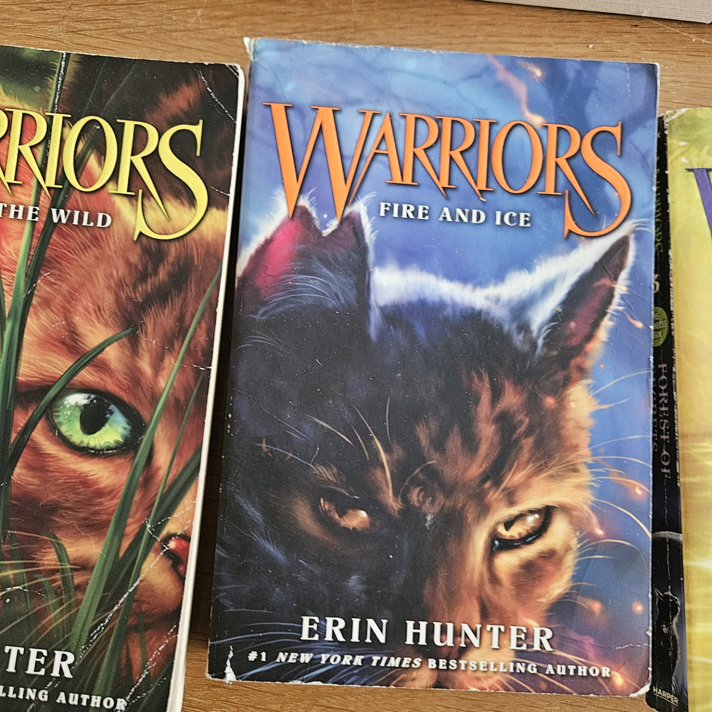 The Prophecies Begin : Warriors Series Books 1-3, 5-6 - photo 2