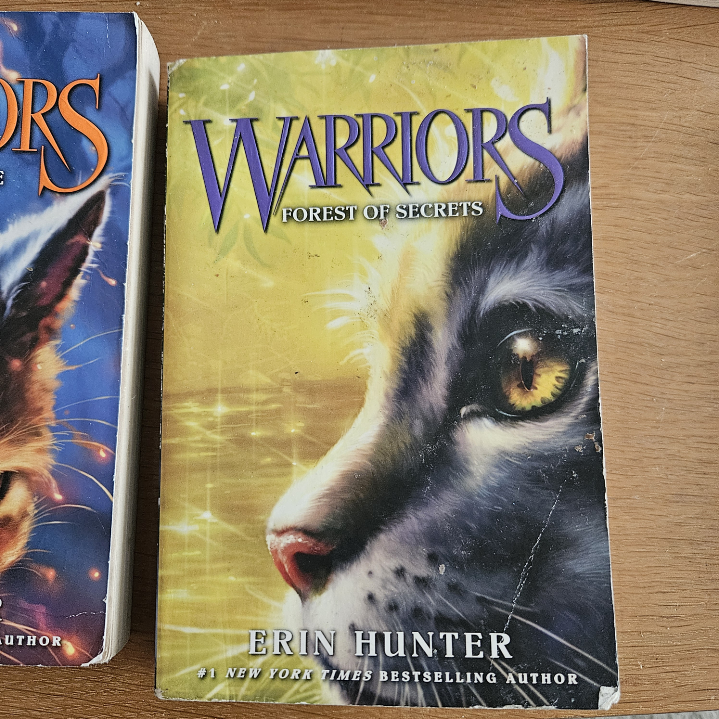 The Prophecies Begin : Warriors Series Books 1-3, 5-6 - photo 3