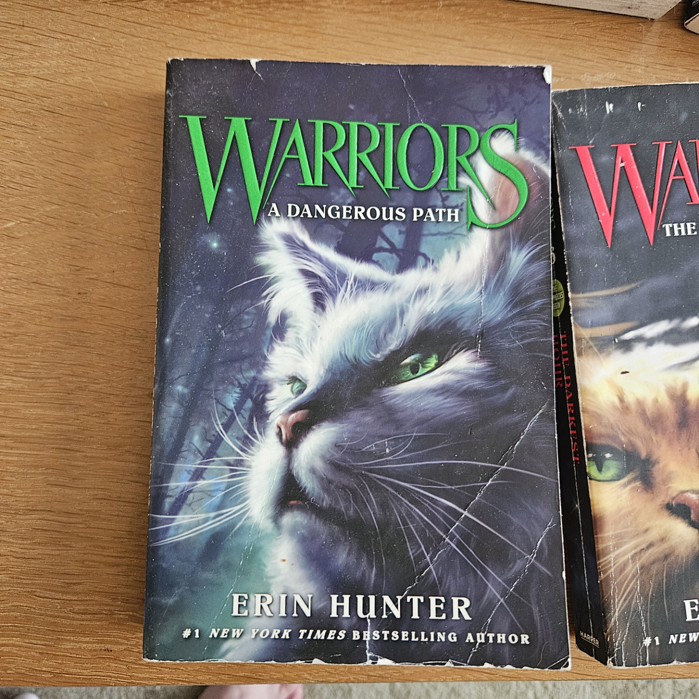 The Prophecies Begin : Warriors Series Books 1-3, 5-6 - photo 4
