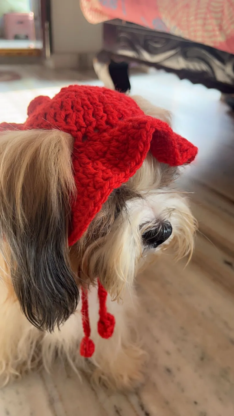 Adorable Red Crochet Dog Hat thumbnail