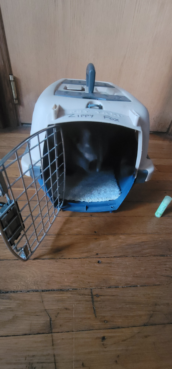 Pet Taxi Pet Carrier - photo 3