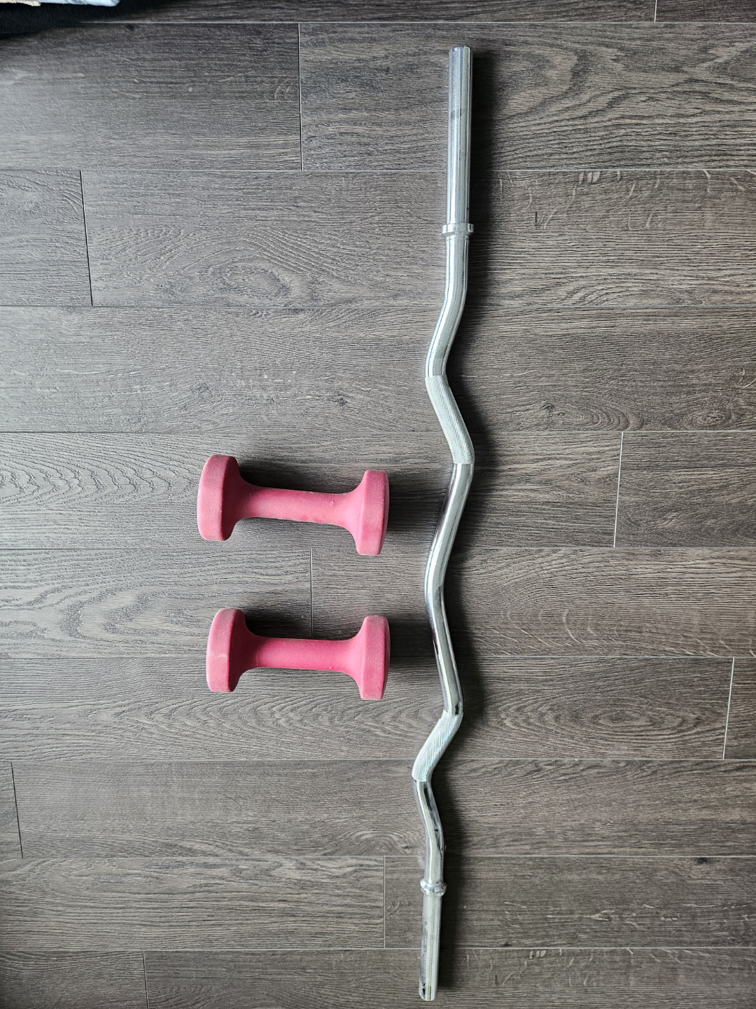 Dumbbells and Curl Bar