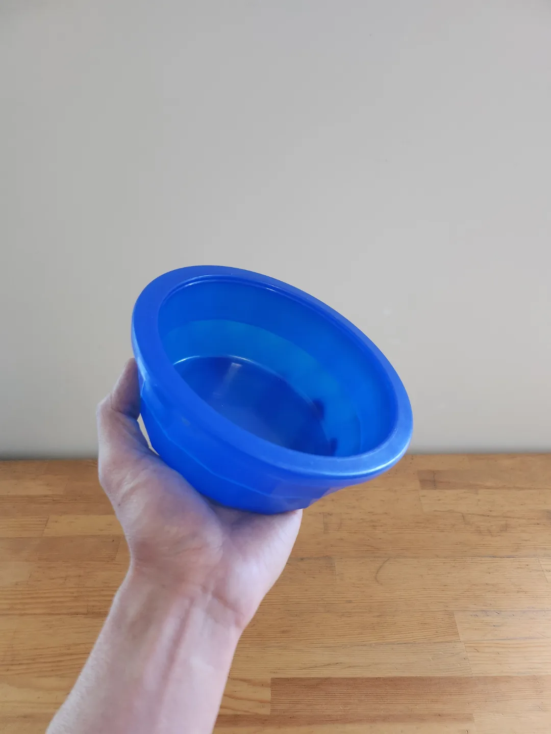 Blue Plastic Pet Bowl 🏒 thumbnail