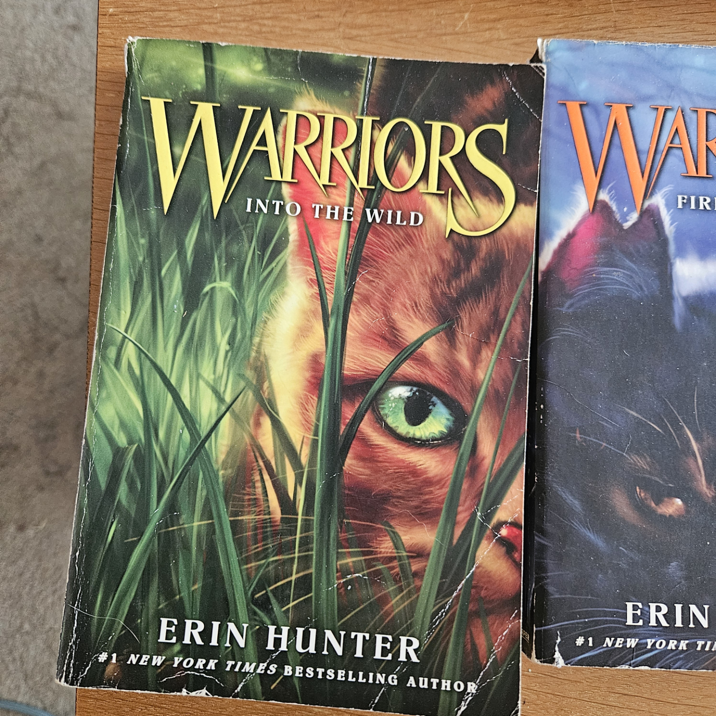 The Prophecies Begin : Warriors Series Books 1-3, 5-6
