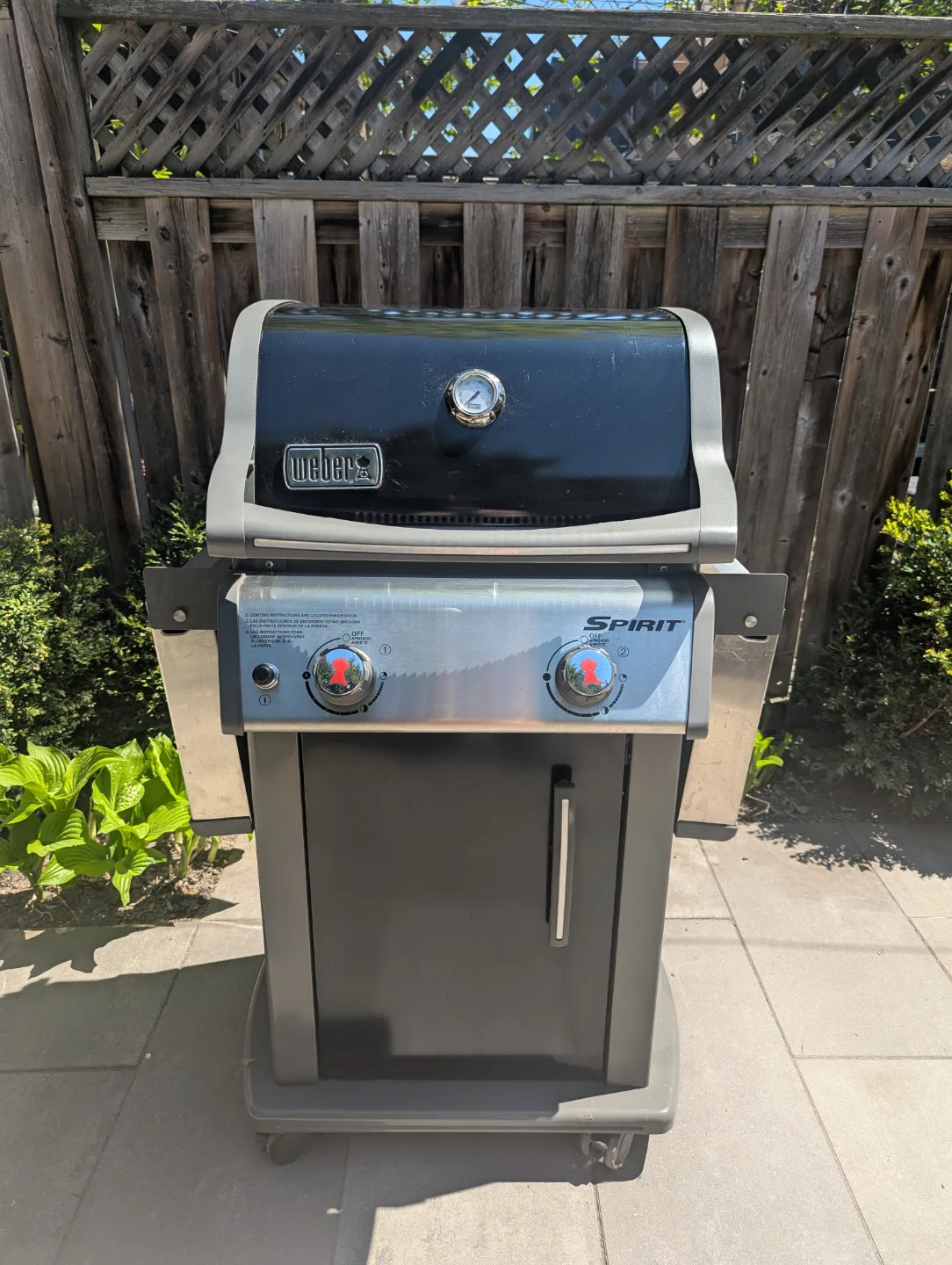 Weber Spirit E-210 LP Gas Grill! thumbnail