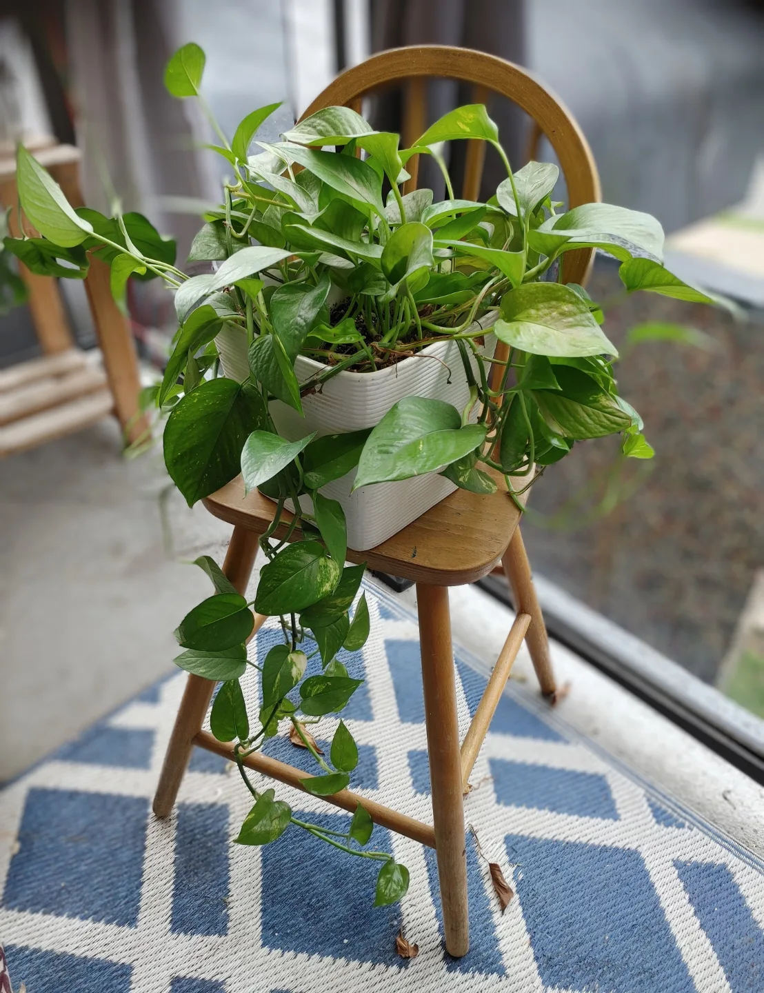 Plant Stand (Small Chair) thumbnail