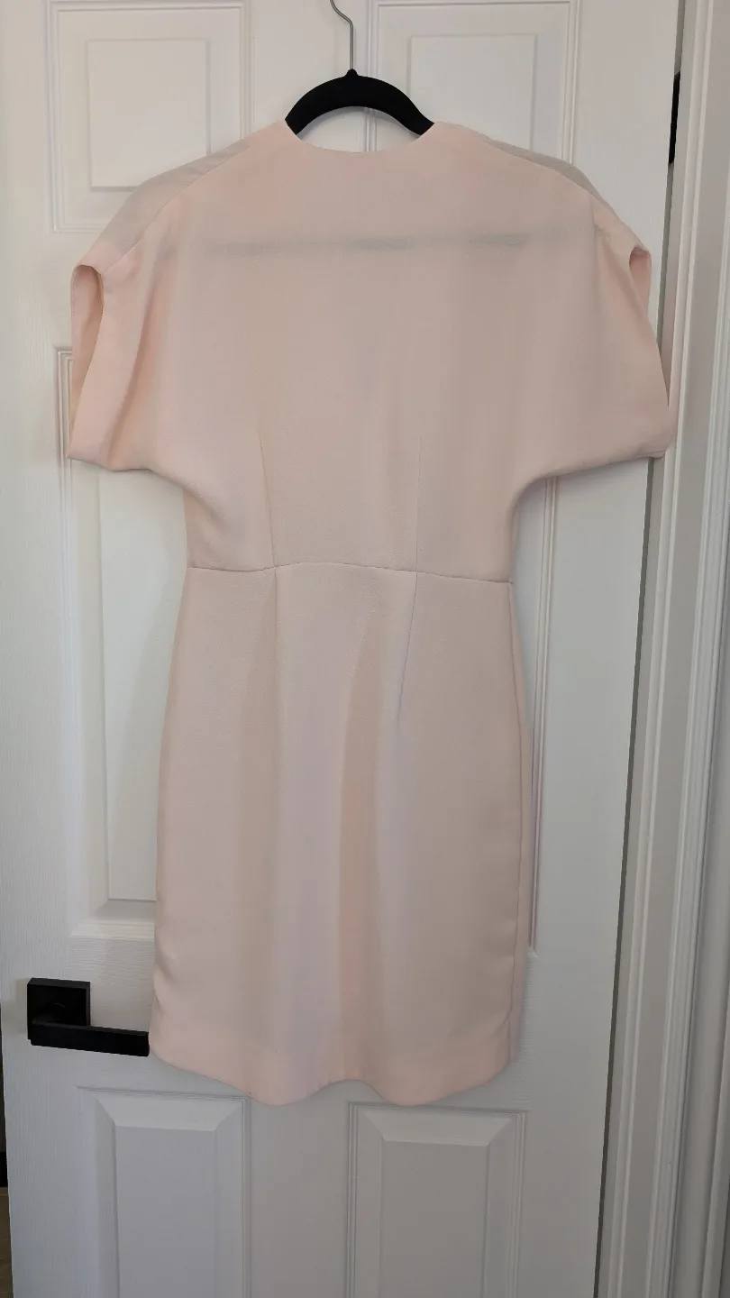 Pink H&M Mini Dress Size 2 image indicator(2)
