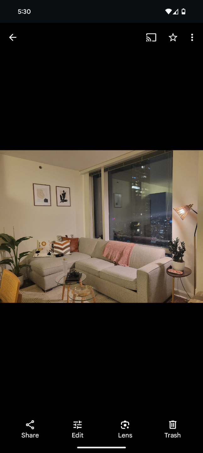 Gray Sectional Sofa with sleeper bed
