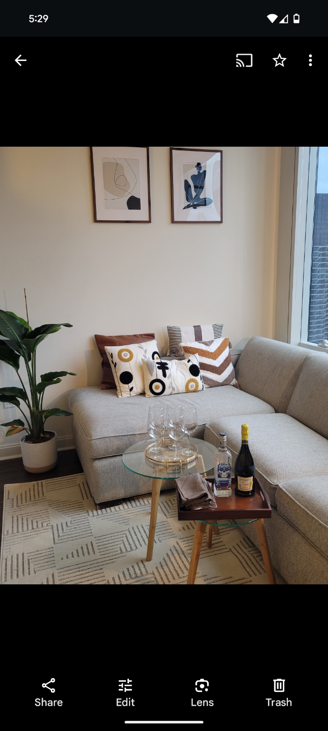 Gray Sectional Sofa with sleeper bed - photo 2
