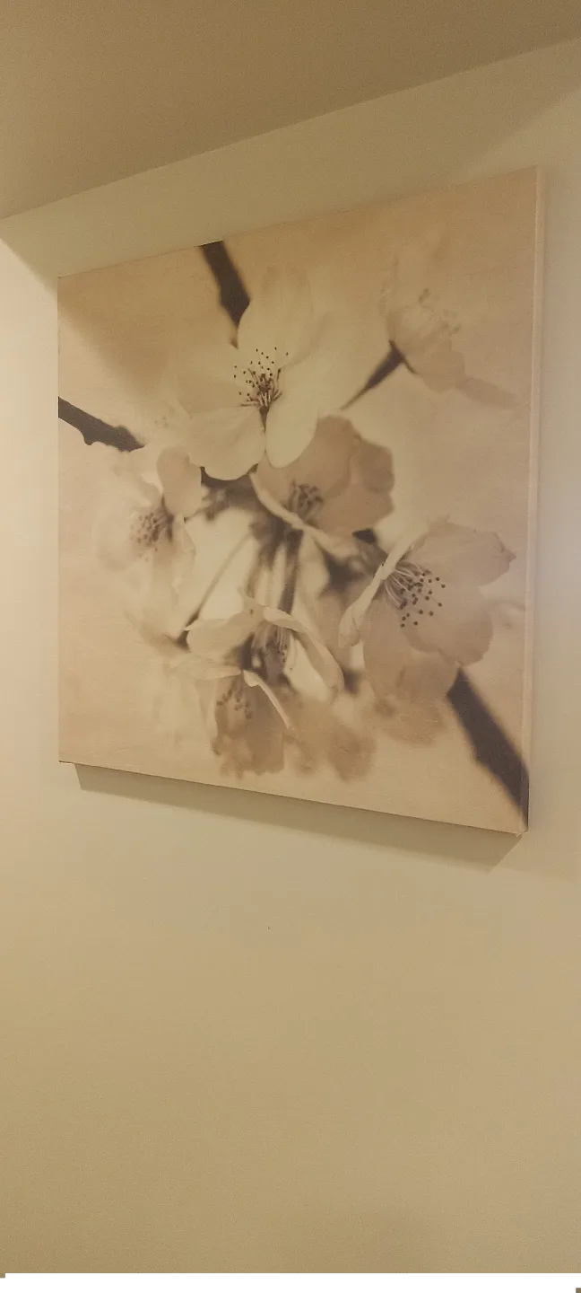 Sepia-toned Floral Canvas Wall Art thumbnail