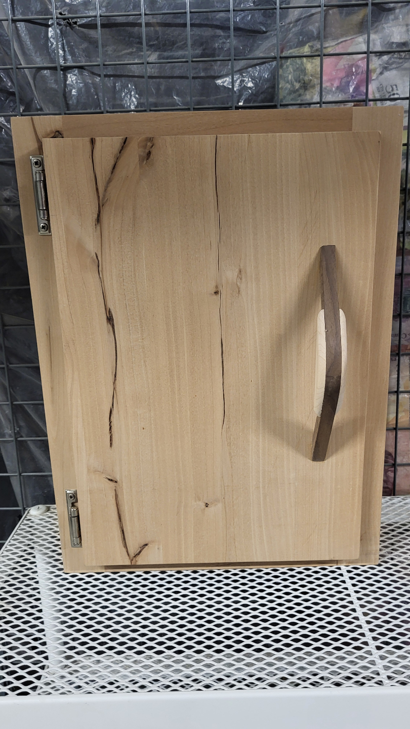 Solid Wood Wall Cabinet with Shelf