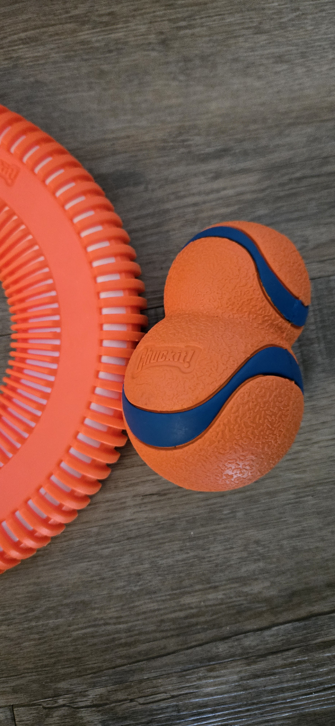 🧡3 New Chuckit Dog Toys - photo 4