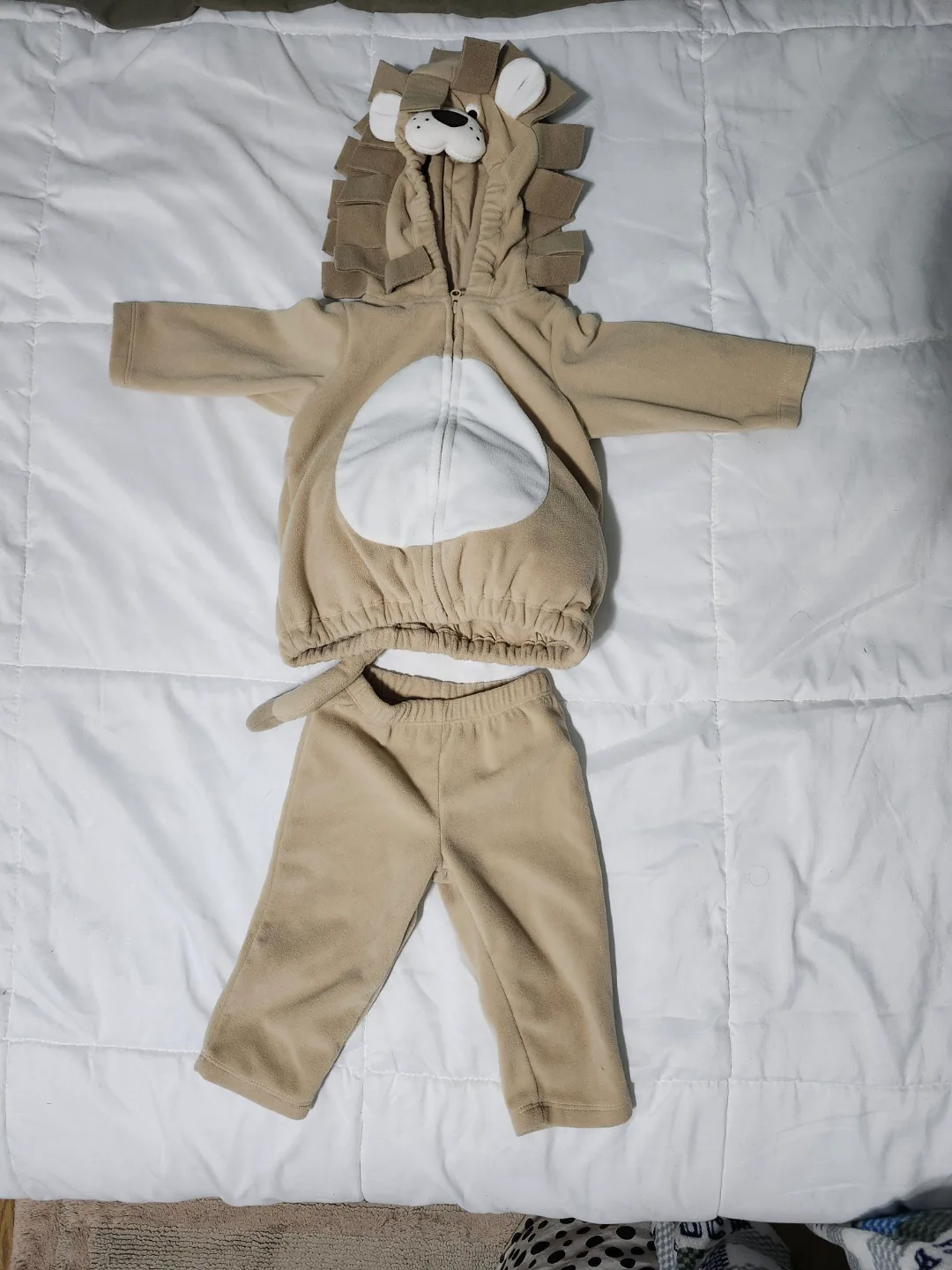 Adorable Baby Lion Costume #freecycle thumbnail