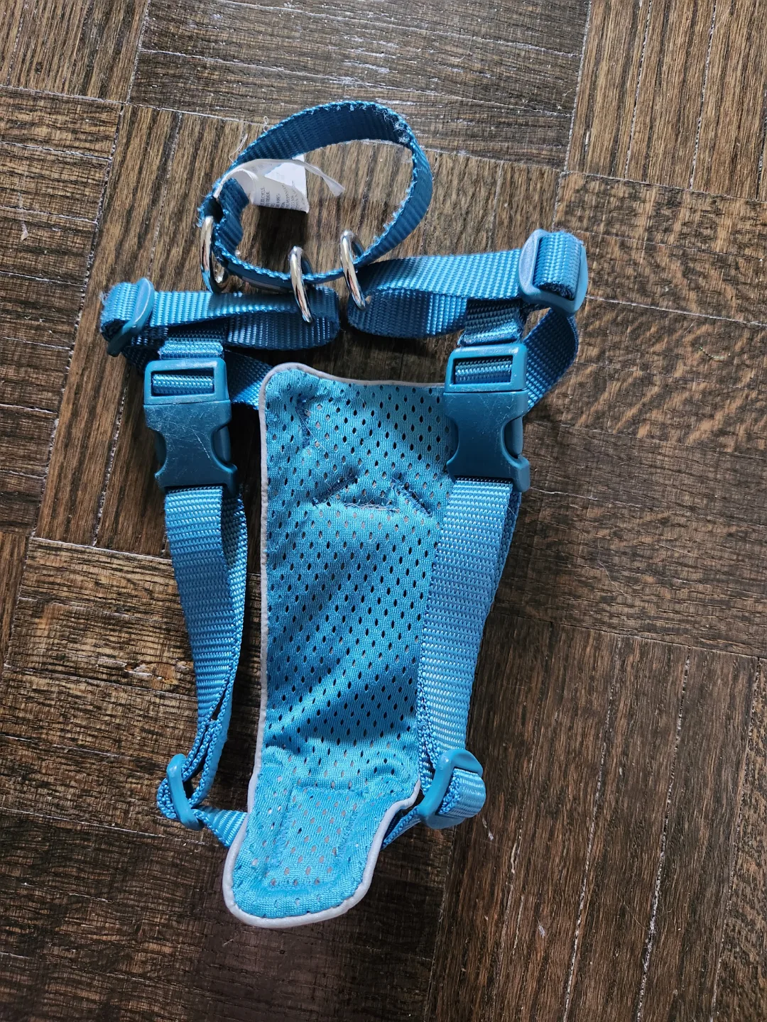 RC Pets Tempo No-Pull Harness Size Sm image indicator(2)