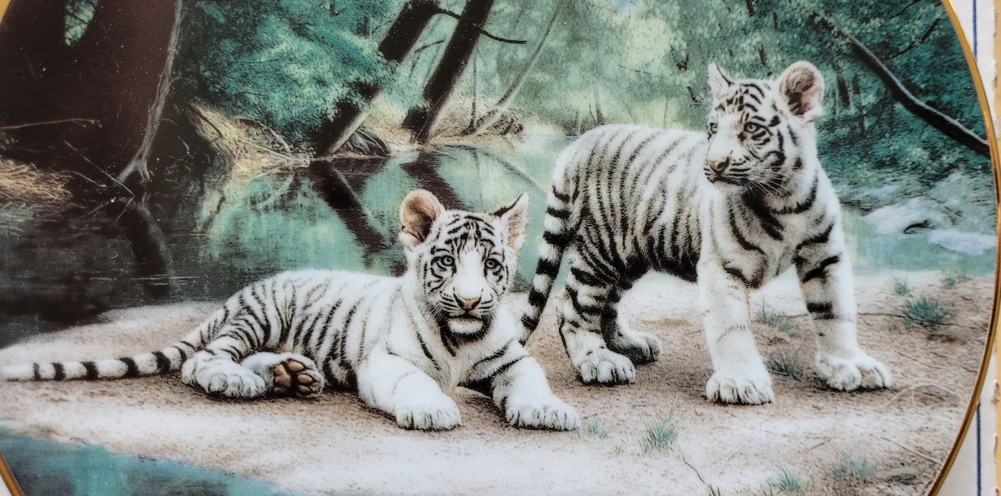 Cat and Racoon Collector Plates image indicator(7)