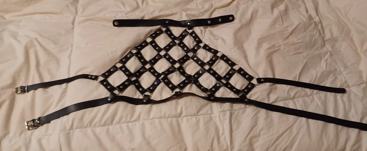 Pink and Black Leather Harness Skirt and Top Set image indicator(5)